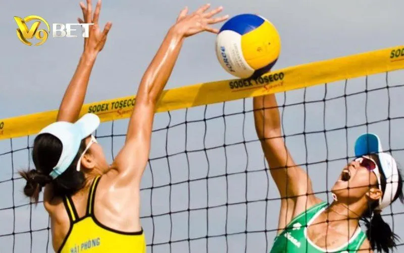 Nhận ưu đãi khủng khi tham gia Bóng Chuyền Ảo V9BET Bóng Chuyền Ảo V9BET