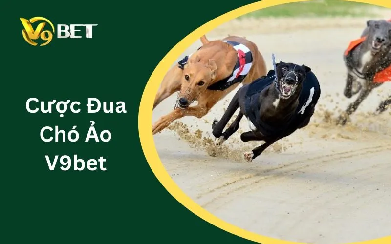 Cược Đua Chó Ảo V9BET: Tuyệt Đỉnh Kèo Odds & Săn Thưởng 2026
