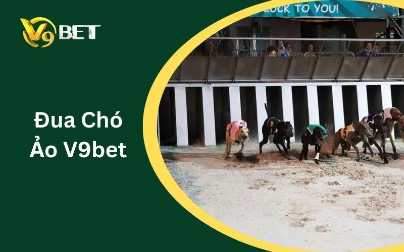 Đua Chó Ảo V9BET: Tuyệt Đỉnh 5 Bí Kíp Sát Phạt Xanh Chín 2026